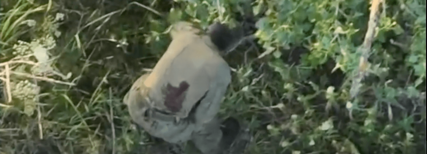 Video thumbnail: Invader come to Ukraine to kill but was killed. Stand with U