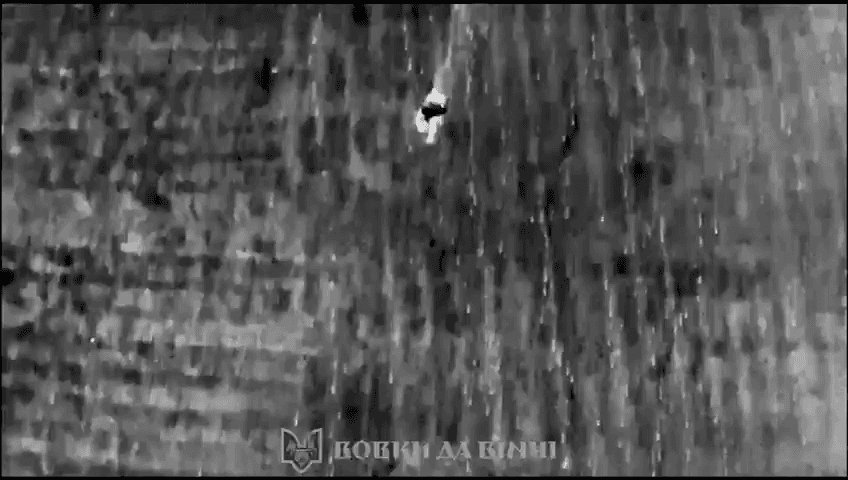 Video thumbnail: Elimination of occupiers near Pokrovsk. 108 Assault Battalio