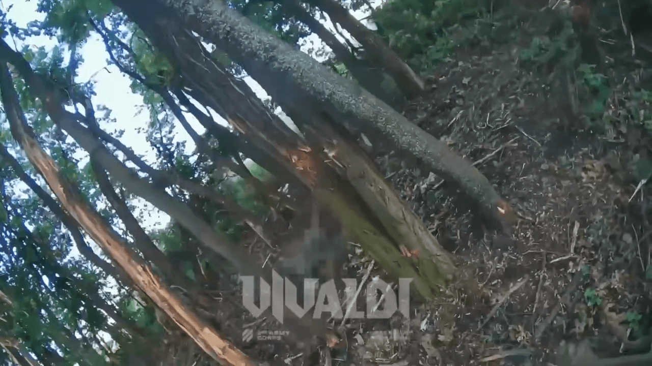 Video thumbnail: Ukrainian Forces Show Assaults on Russian Positions Near Three Villages in Donetsk Region