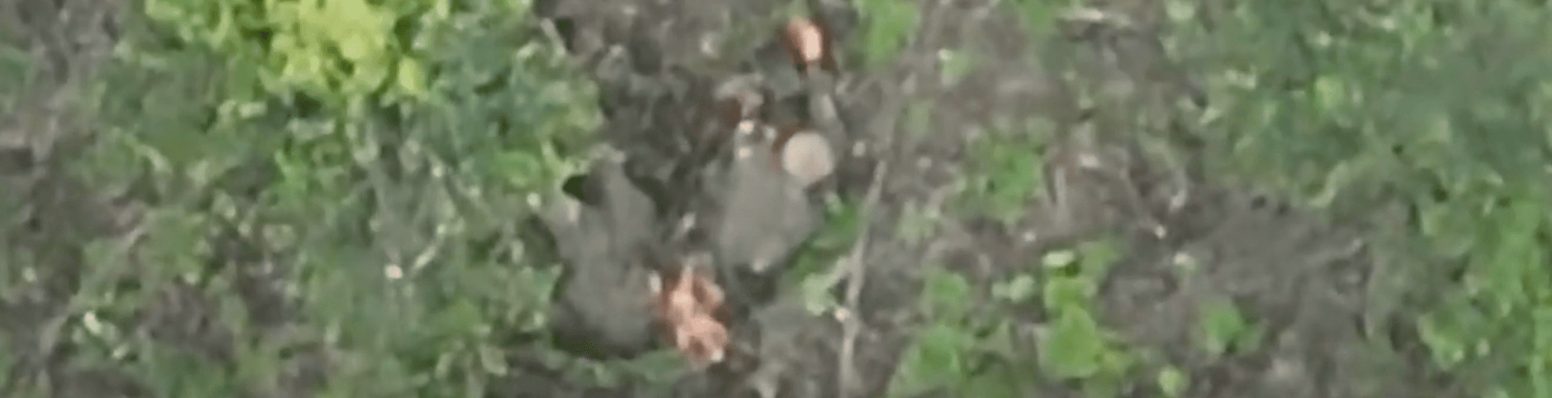 Blurred preview: Elimination of the invader by dropping grenades from a drone. Don't forget to subscribe to our channel!