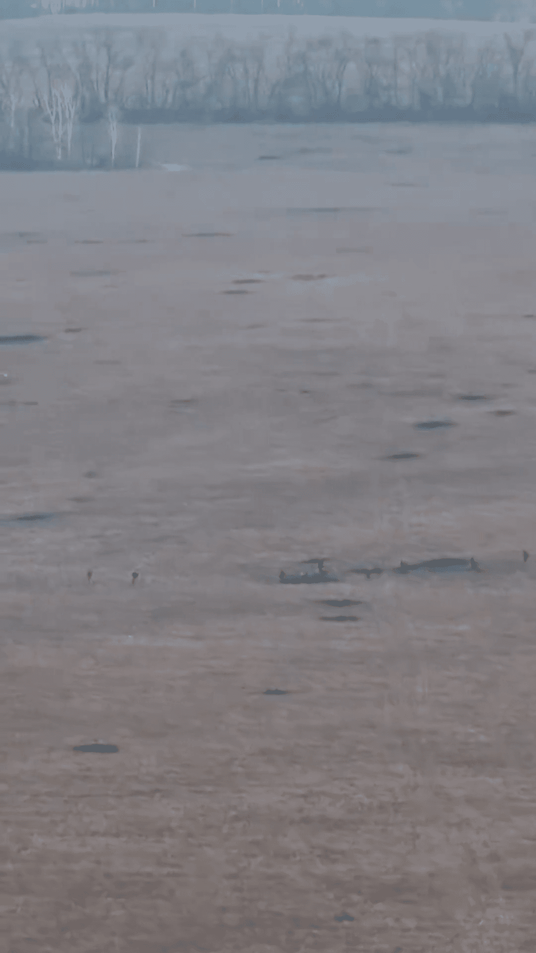 Video thumbnail: Frappe de drone FPV perturbe un grand groupe ennemi se déplaçant à travers un champ ouvert