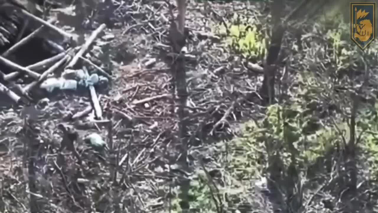 Video thumbnail: Ukrainian soldier kills two Russian assault troops with rifle fire on the Lyman front