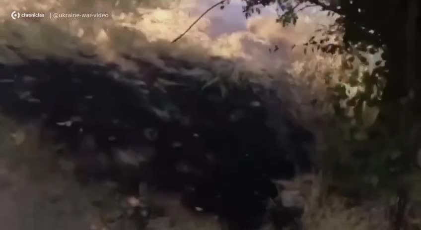 Video thumbnail: 🎥 Ukrainske forsvars-efterretningsoperatører spottet i Zele