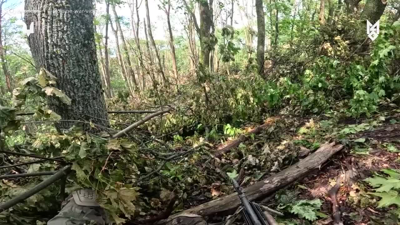 Video thumbnail: Ukrainske SOF forhindrede fjenden i at få fodfæste.
Under k